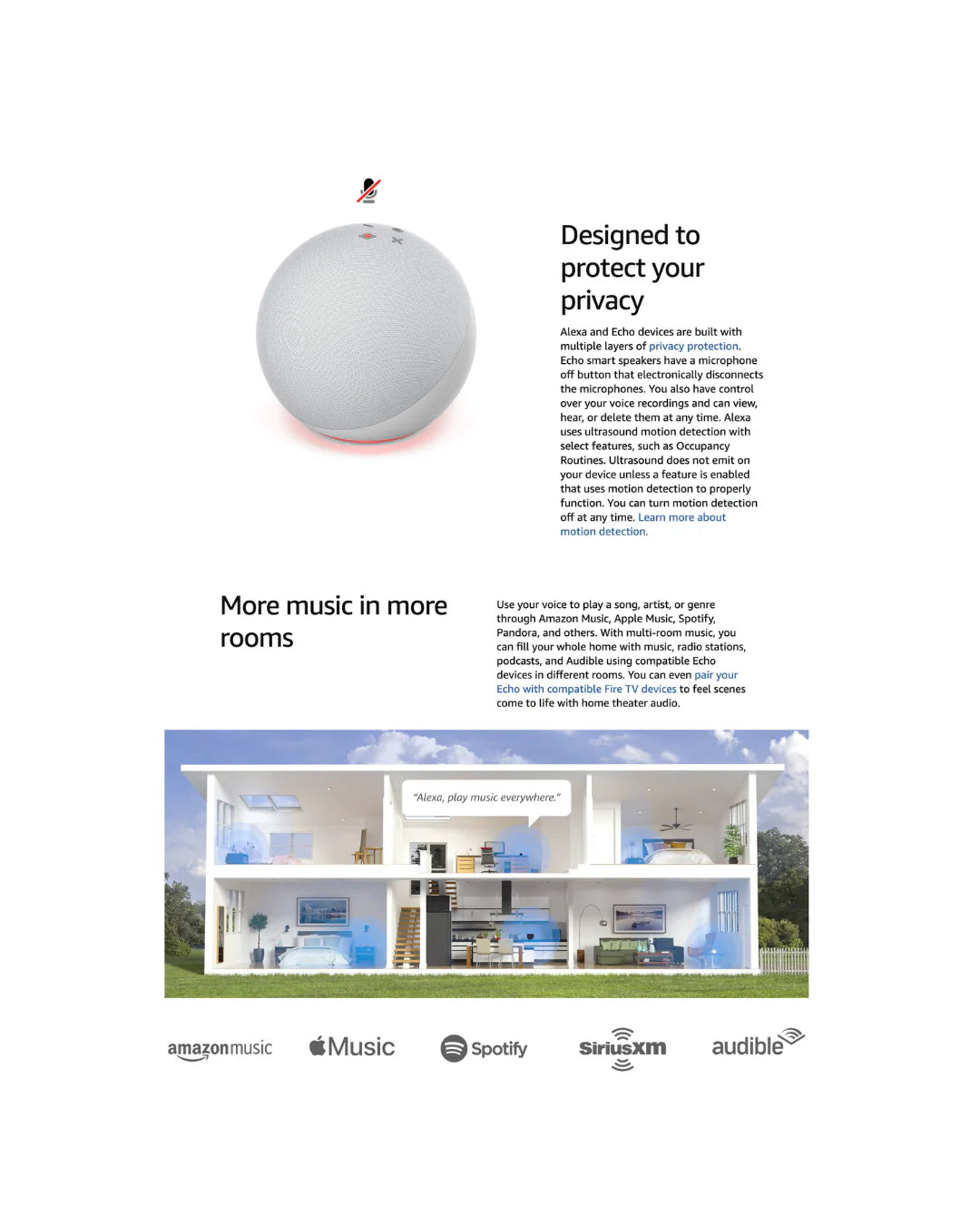 Amazon Echo Dot 4