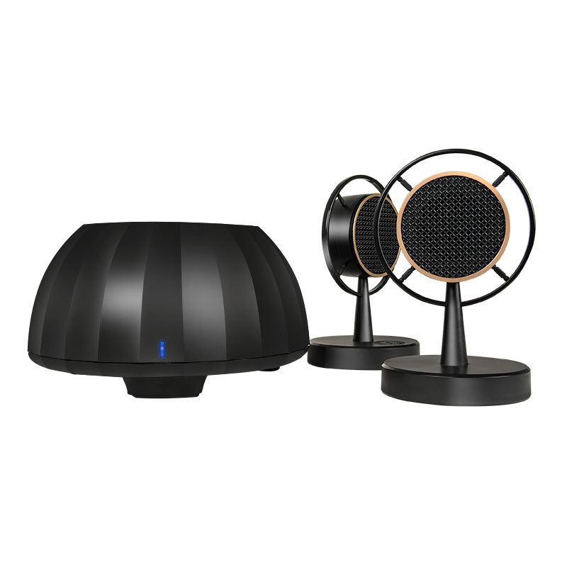 MICROLAB Micmusic 2.1 Magic Drum Multimedia Speaker