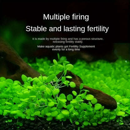 10 / 20 Grams of Aquarium Plant Seeds Soil Water Aquatic Plant Love Grass Substrate Soil Decor Fish Tank grass seeds Aquarium Plants Aqua Soil Aquatic Plant Seeds Water Grass Seeds for Aquarium Landscaping Decoration