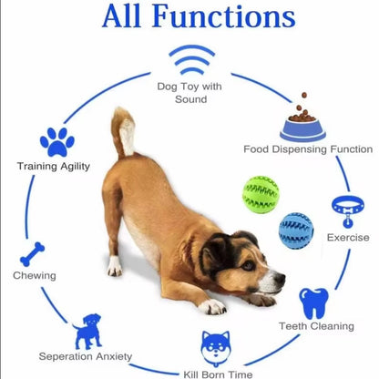 1PC Interactive Elastic Dog Ball Toy – Soft Rubber Chew, Tooth Cleaning & Treat Dispenser for Small