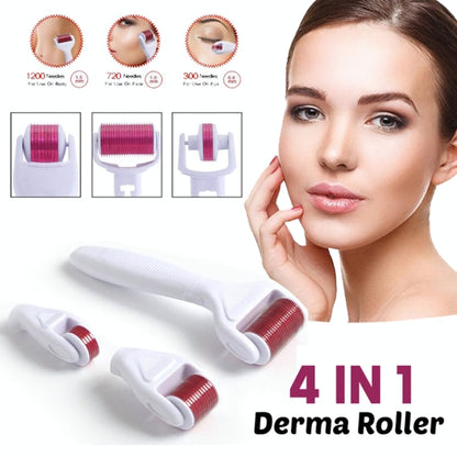4 In 1 Derma Roller Set Stainless Micro Needles with Travel Case