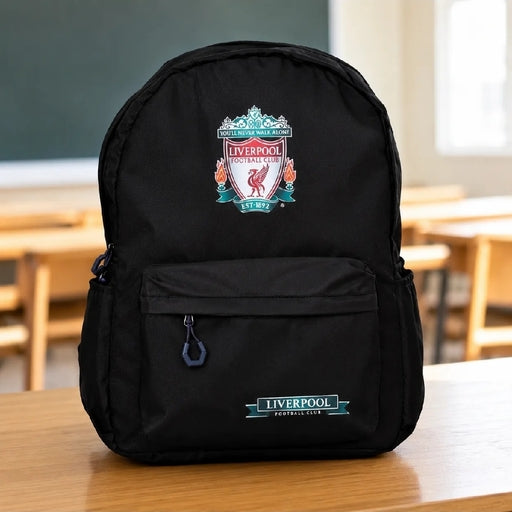 School Class Backpack 42*32*13
