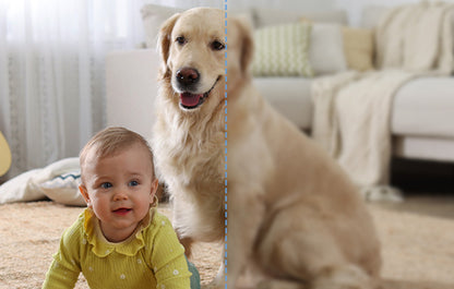 Baseus P1 Lite 2K Indoor Camera