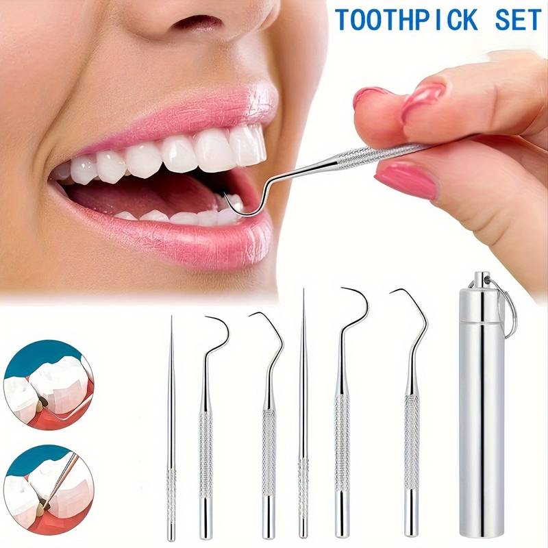 6Pcs Stainless Steel Toothpick Set – Reusable Dental Cleaning & Flossing Tools with Portable Storage