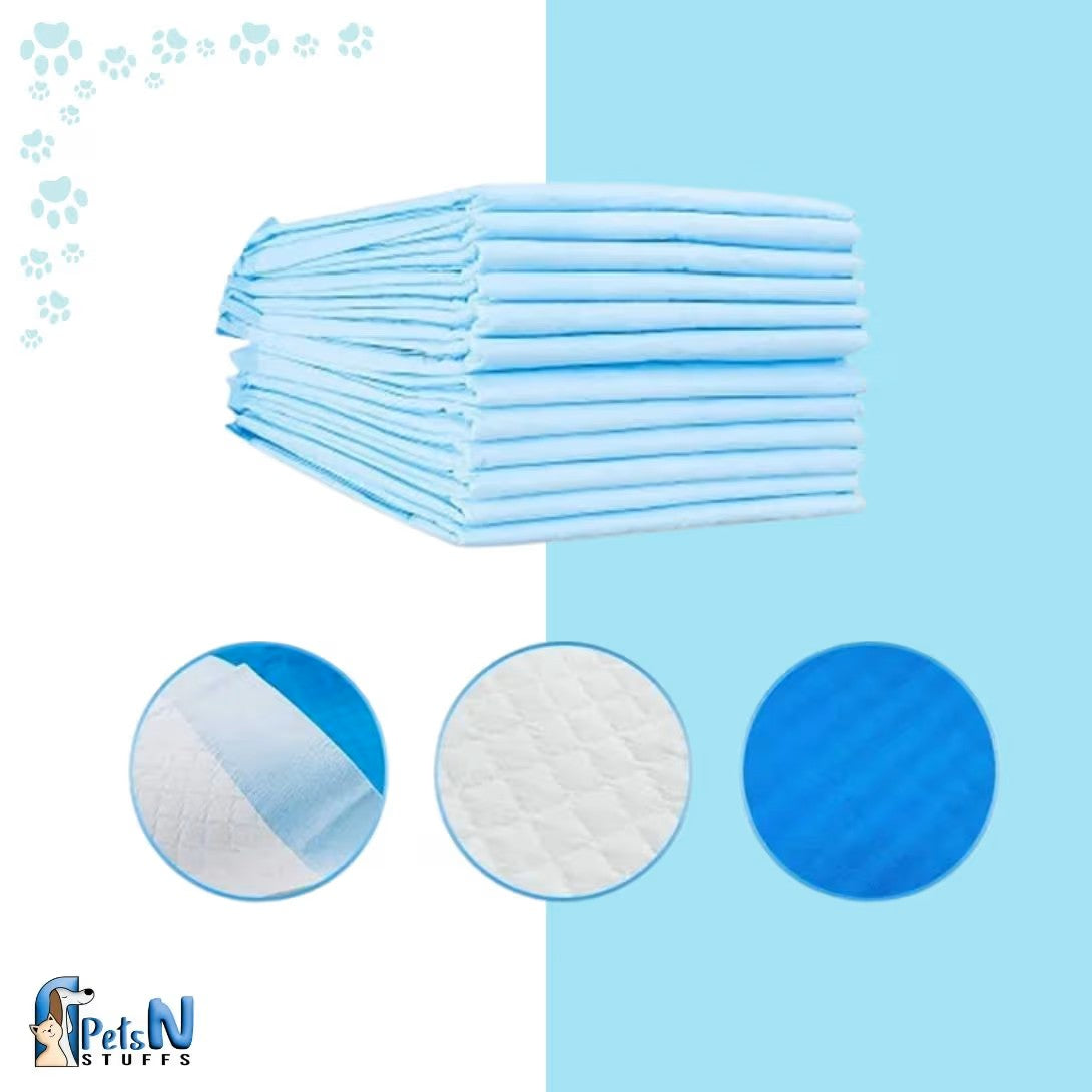 Pet Diaper Mat Training Pad Big 1Pc