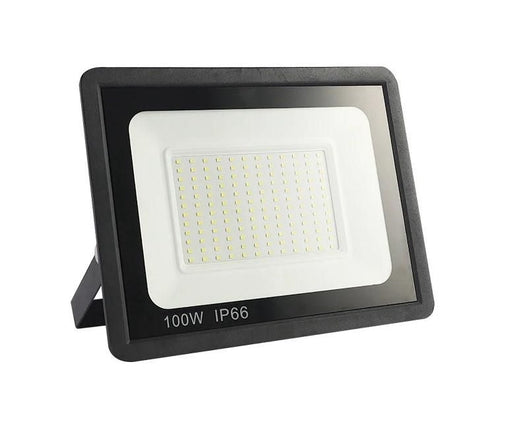 Heavy Plastic Body 100W LED Flood Light