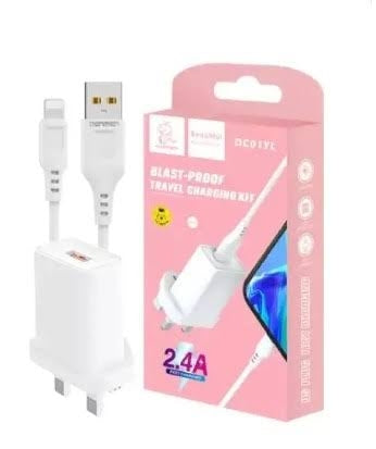Denmen Home Charger DC05YL 1USB 2.4a Micro Charger / Type-C Charger / Lightning Charger