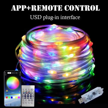 Striscia LED RBG 10M Light USB Power App Support with Remote Strip