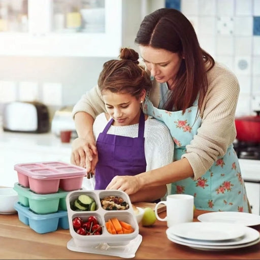 High-Quality Wheat Straw 4-Compartment Divided Bento Lunch Box with Transparent Lids