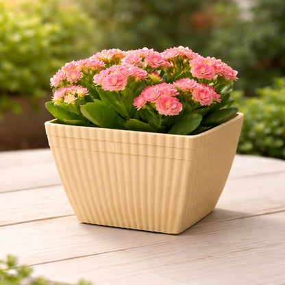 Bloom Square Ribbed Planter Pot White Colour (5 Pcs Set - Pots Only) Size - 5" X 4"