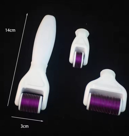 4 In 1 Derma Roller Set Stainless Micro Needles with Travel Case