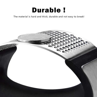 Stainless Steel Garlic Grater/ Chopper