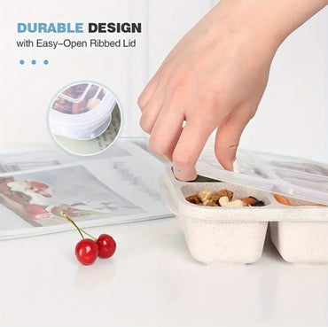 High-Quality Wheat Straw 4-Compartment Divided Bento Lunch Box with Transparent Lids