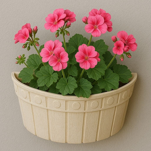 White Colour Wall Pot 5Pcs Set