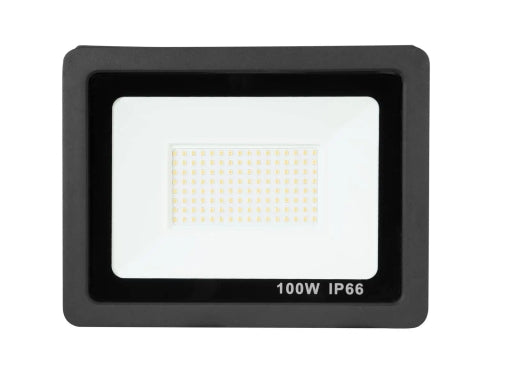 Heavy Plastic Body 100W LED Flood Light