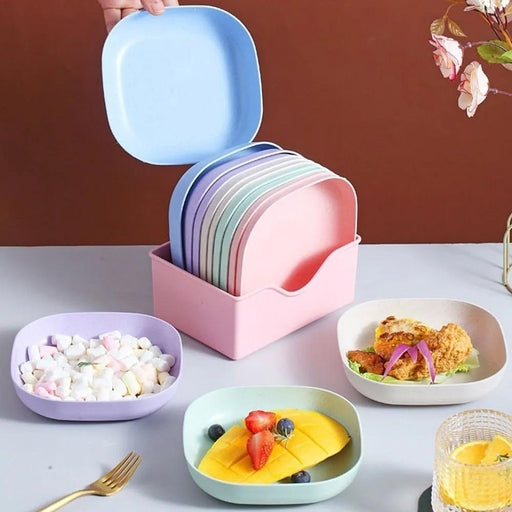 10 Piece Plastic Plates Set with Holder