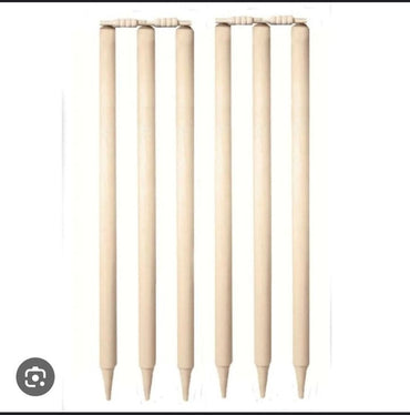 Wood Wicket 2 Set
