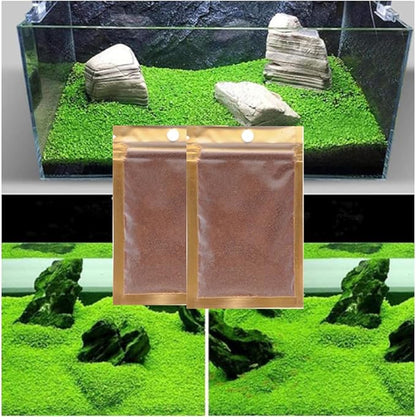 10 / 20 Grams of Aquarium Plant Seeds Soil Water Aquatic Plant Love Grass Substrate Soil Decor Fish Tank grass seeds Aquarium Plants Aqua Soil Aquatic Plant Seeds Water Grass Seeds for Aquarium Landscaping Decoration