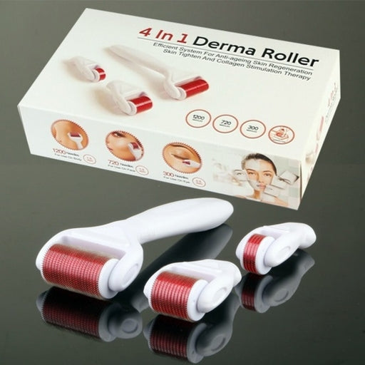 4 In 1 Derma Roller Set Stainless Micro Needles with Travel Case