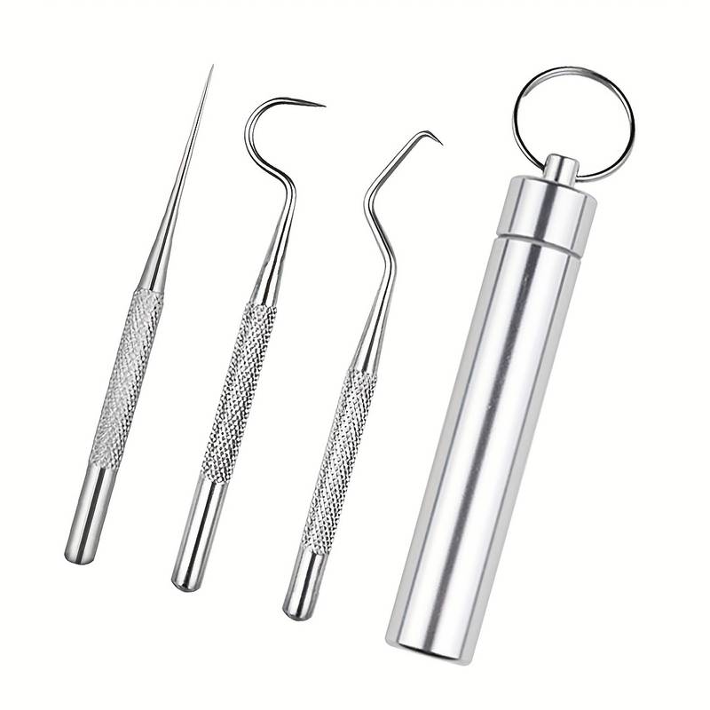 6Pcs Stainless Steel Toothpick Set – Reusable Dental Cleaning & Flossing Tools with Portable Storage