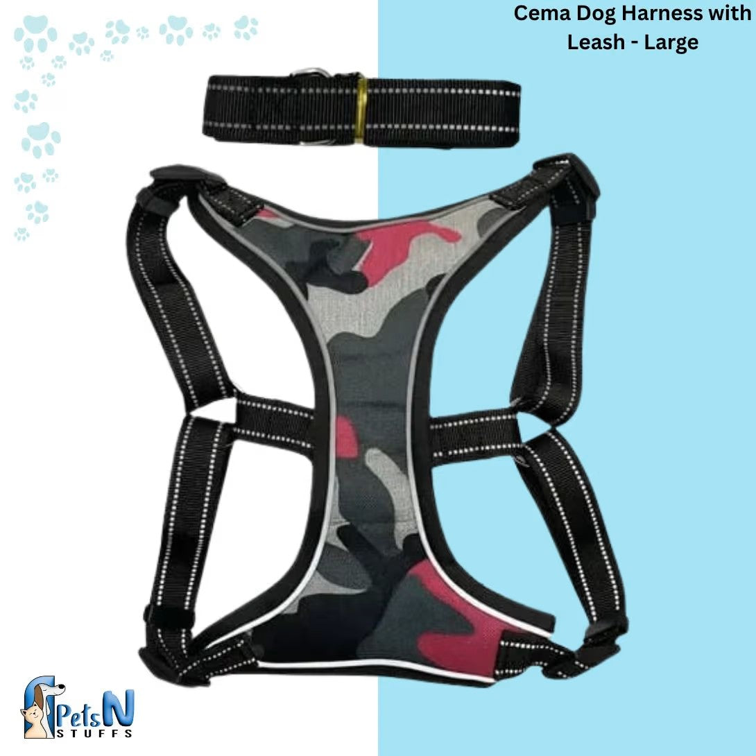 Cema Dog Harness with Leash