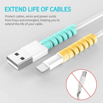 Spiral Cable Protector & Data Cable Saver Set of 2, Multi Colour with Free Ring