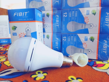 Fibit 12W Rechargeable Bulb B22