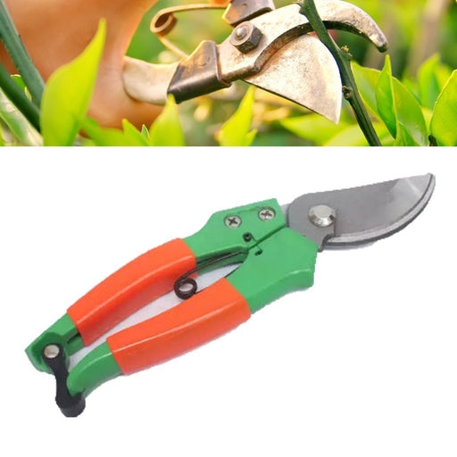 Pruning Shears - Mal Kathura