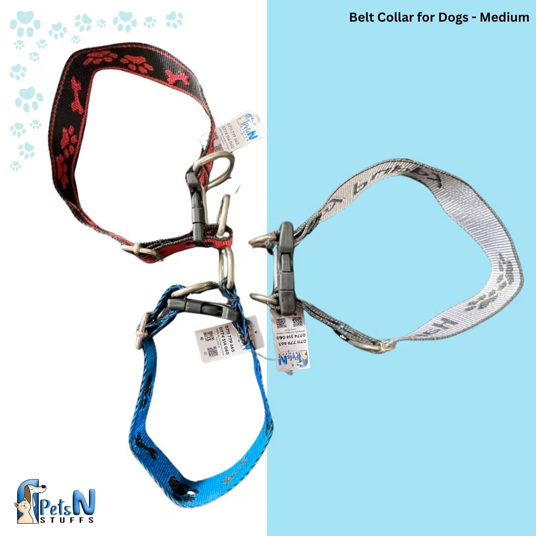Belt Collar for Dogs
