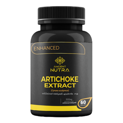 Artichoke Extract - 60 Capsule