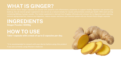 Ginger - 60 capsules