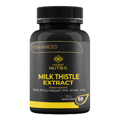 Milk Thistle Extract - 60 Capsule
