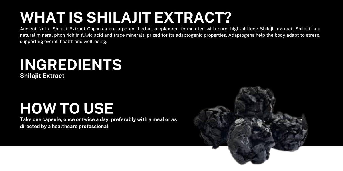 Shilajit Extract 60 Capsules