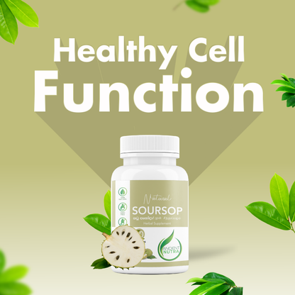 Soursop (Anoda Leaves) - 60 capsules