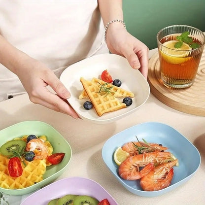 Square Plastic Food Plate Set (Set of 10 Pcs)