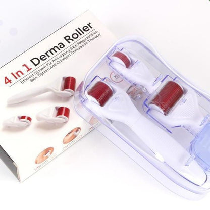 4 In 1 Derma Roller Set Stainless Micro Needles with Travel Case
