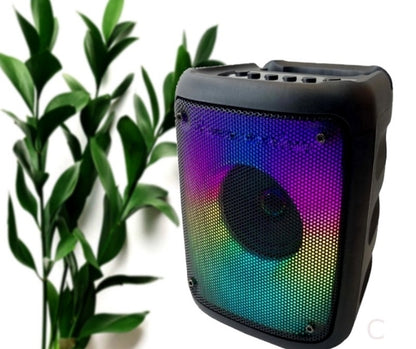 KTS-1576 BT Party Speaker with 3-Inch Flame Illusion Light, Wireless Portable Mini Speaker