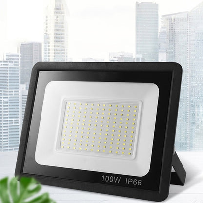 Heavy Plastic Body 100W LED Flood Light