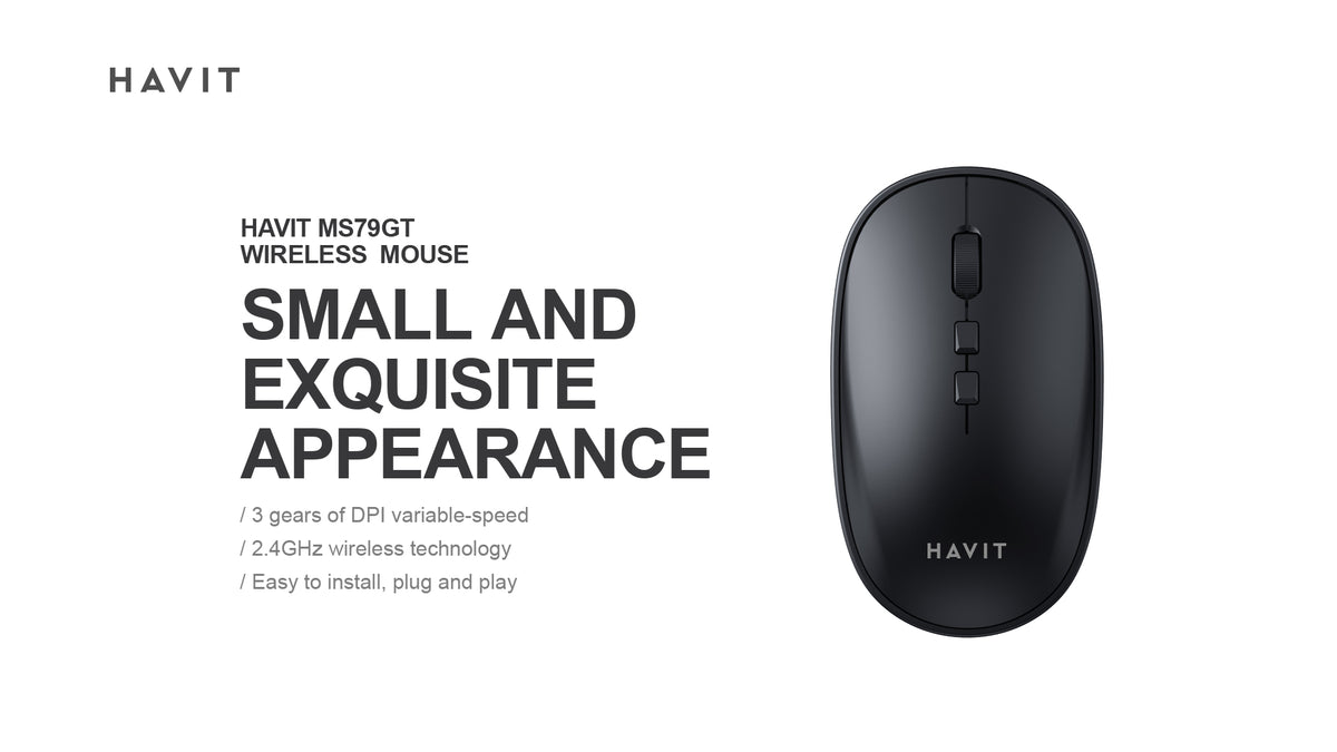 Havit Ms79gt Wireless Mouse
