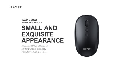 Havit Ms79gt Wireless Mouse