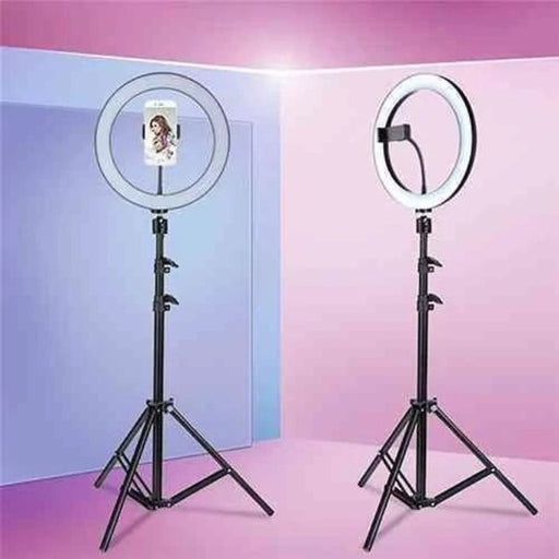 3110 Tripod with Ring Light 1M / 26Cm Ring Light