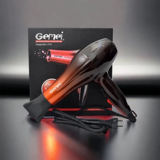 Gemei GM-1719 Hair Dryer