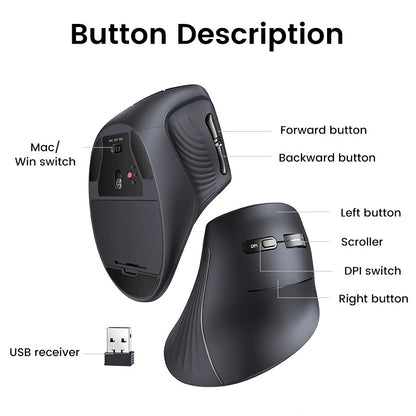 GREEN MU008 Vertical Ergonomic Mouse, Bluetooth & 2.4G, Silent Quiet Clicks, 5 Buttons, 4000 DPI & 4 Adjustable DPI, for Laptop, Mac, Chromebook, PC, Windows