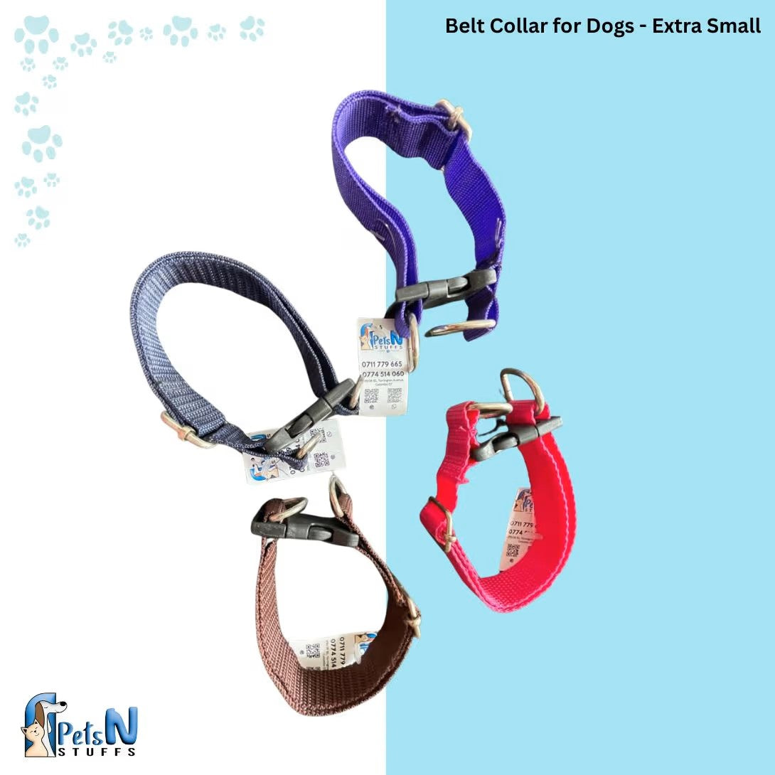 Belt Collar for Dogs