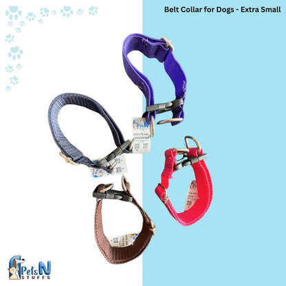 Belt Collar for Dogs