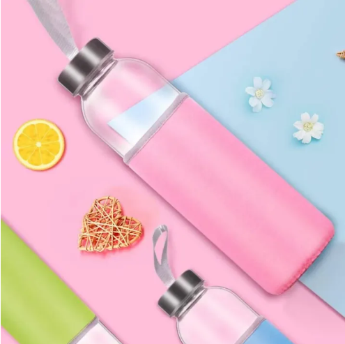 Travel Glass Water Bottle with Porch 500Ml