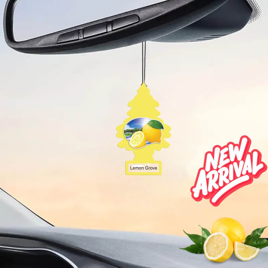 Car Fragrance Hanging Air Freshener Perfume X Version Black Card for Car and Home No1 Good Quality