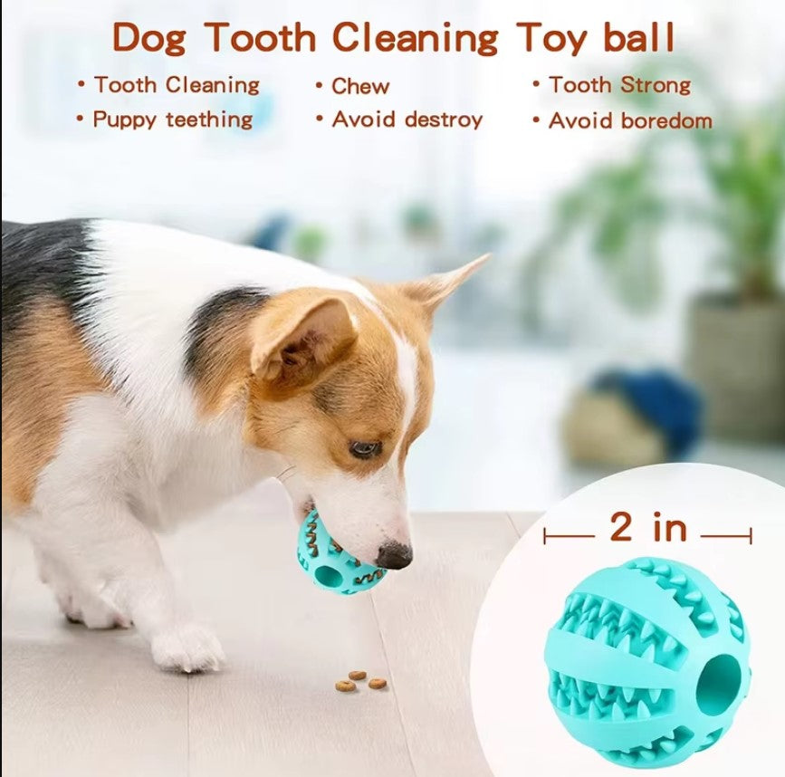 1PC Interactive Elastic Dog Ball Toy – Soft Rubber Chew, Tooth Cleaning & Treat Dispenser for Small