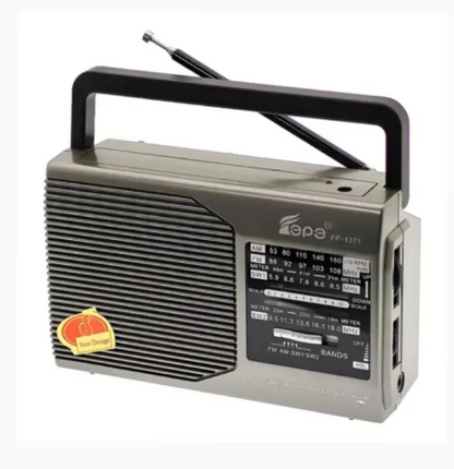FEPE FP-1372BT Multi Functional Music Player Radio