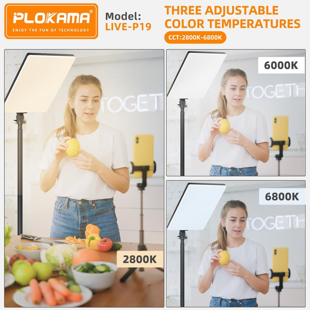 Plokama LIVE-P19 LED Photography/Videography Fill Light